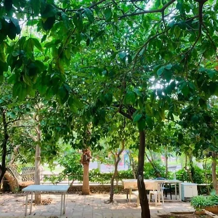 Denize Yakin, Ferah Antalya